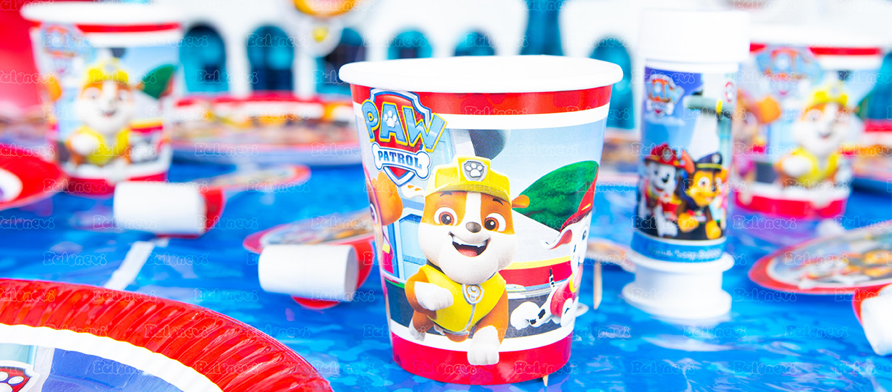 Paw Patrol Party Set